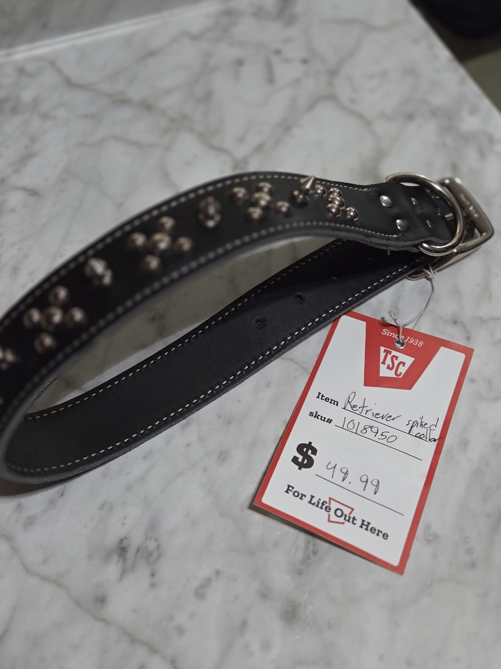 Black Studded Leather Dog Collar